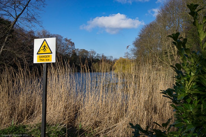 a1_20160410_20160410_Edinburgh_14002007_6000 x 4000