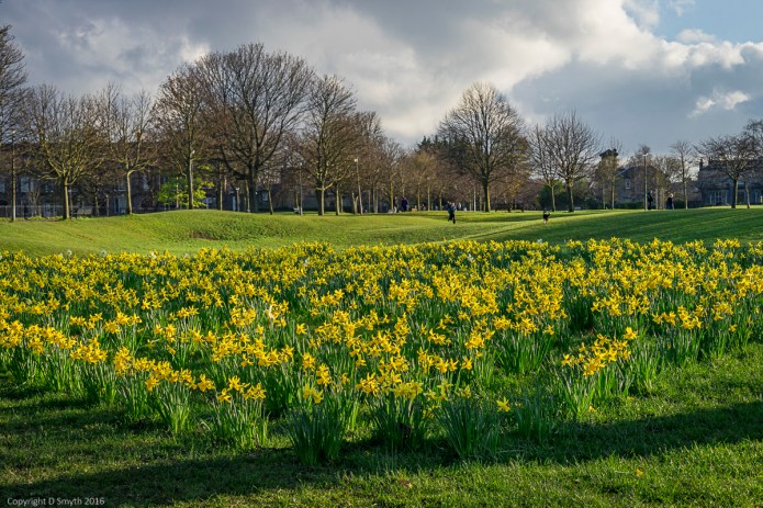 a1_20160410_20160410_Edinburgh_14602013_6000 x 4000