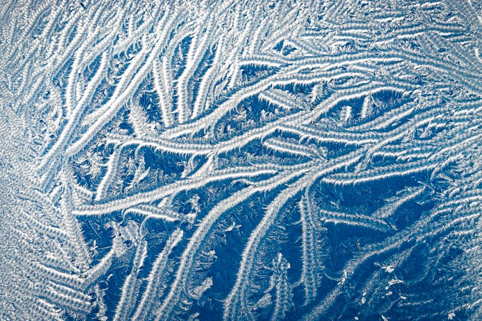 a1_20160417_20160417_StAlbans_00702489_6000 x 4000