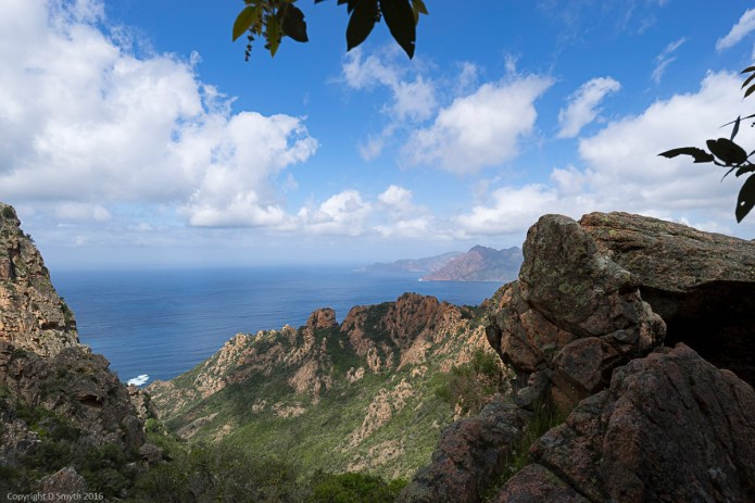 a1_20160501_20160501_Corsica_0087895_6000 x 4000