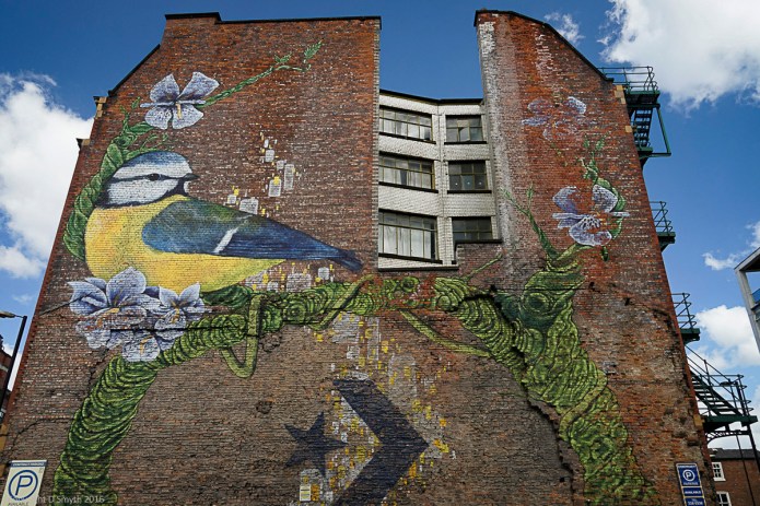 a1_20160514_20160514_Manchester_00804758_6000 x 4000-2