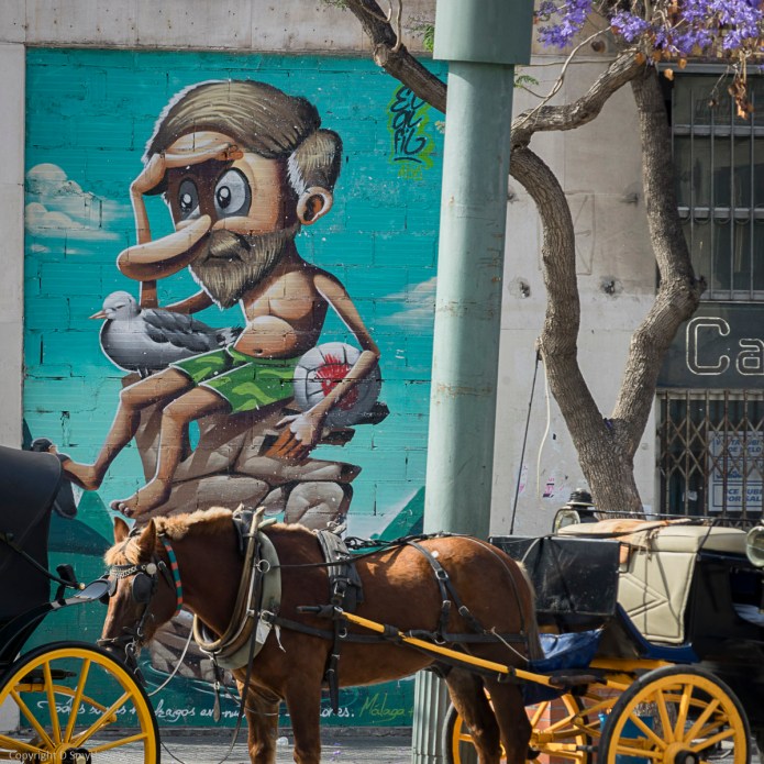 a1_20160524_20160524_Malaga_01505120_6000 x 4000
