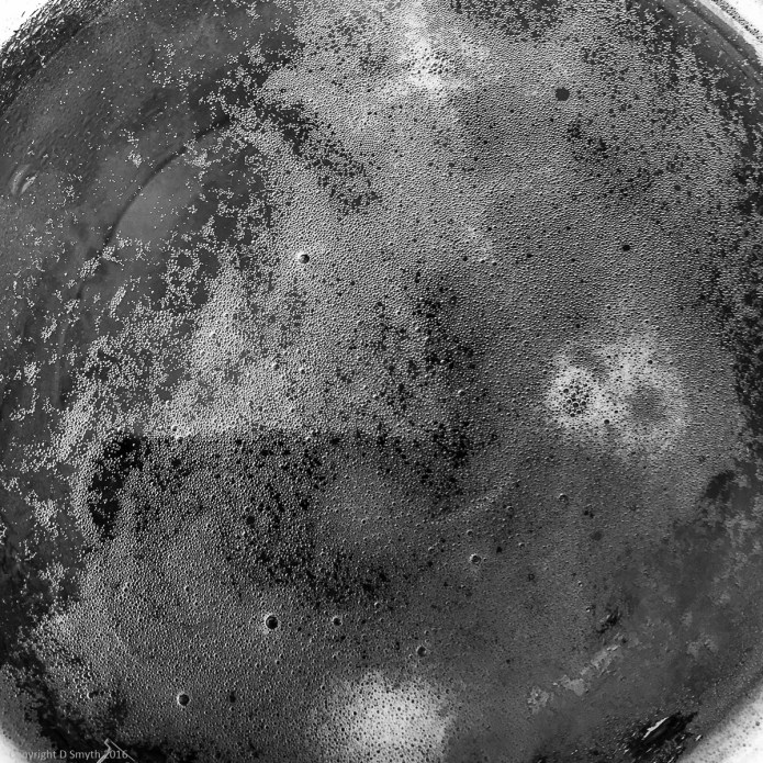 a1_20160603_beer 3_2448 x 2448