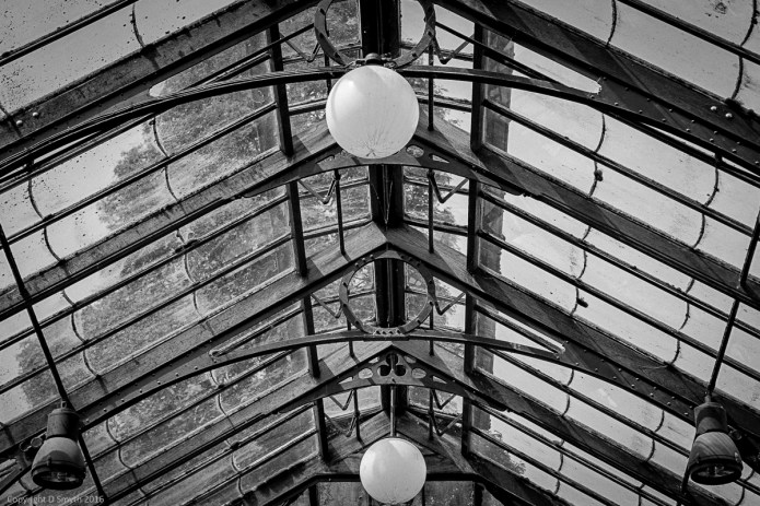 a1_20160608_20160608_Cambridge_04308933_6000 x 4000