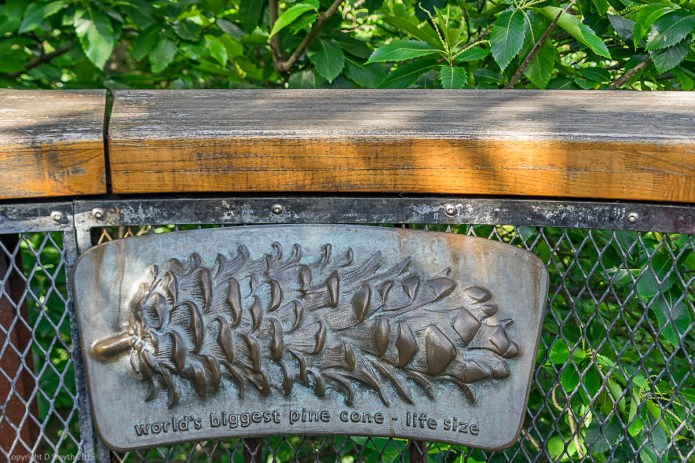 a1_20160624_20160624_London_15109238_6000 x 4000