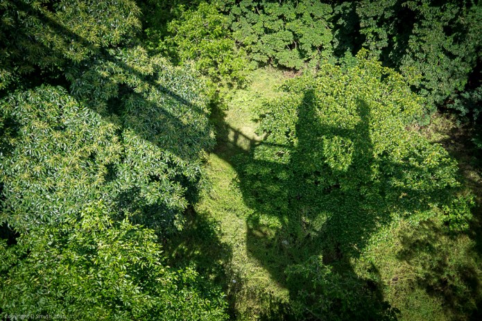 a1_20160624_20160624_London_13309220_6000 x 4000-3