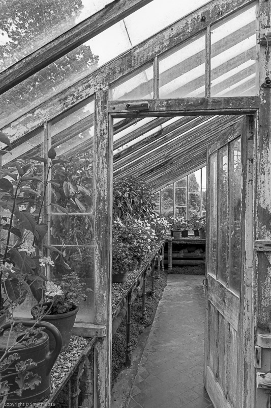 a1_20160706_SergeHill-2016070609852_4000 x 6000