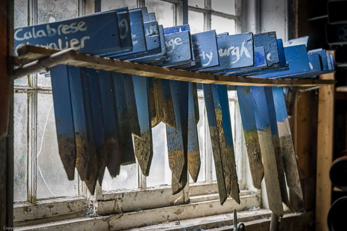 a1_20160706_SergeHill-201607068517_6000 x 4000