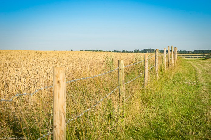 a1_20160719_Hitchin-2016071900221_6000 x 4000-2