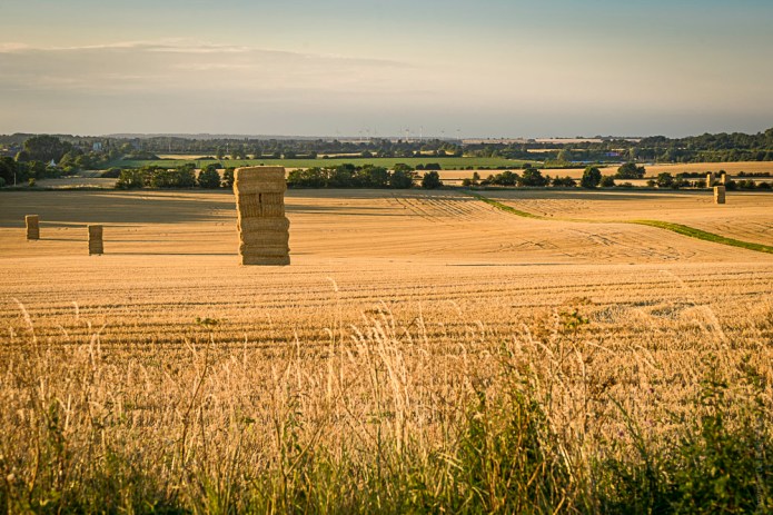 a1_20160719_Hitchin-2016071900239_6000 x 4000-2