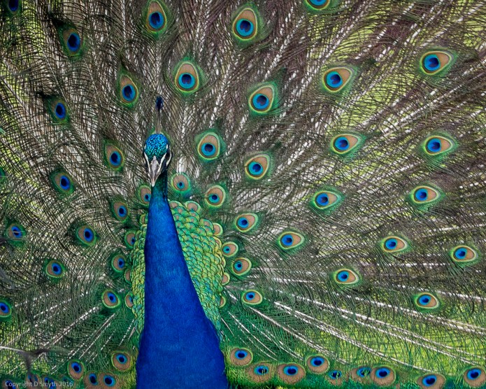 a1_20160624_20160624_London_0158249_6000 x 4000-3