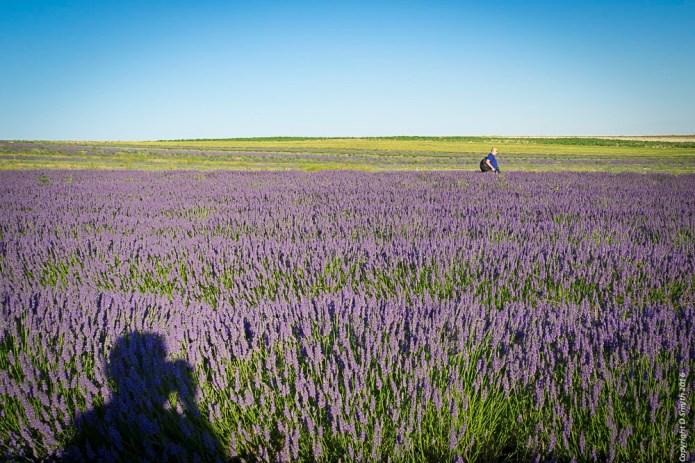 a1_20160719_Hitchin-2016071900204_6000 x 4000-4