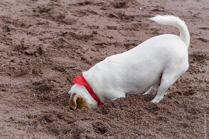 a1_20160731_Devon-2016073109063_6000 x 4000