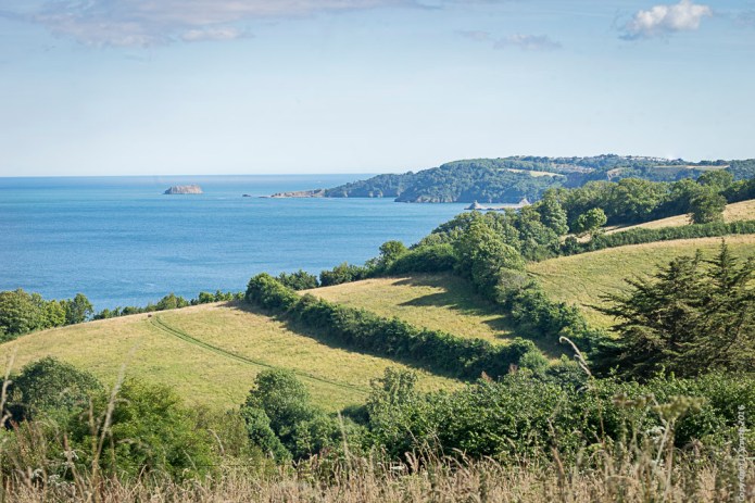 a1_20160731_Devon-2016073109112_6000 x 4000-2