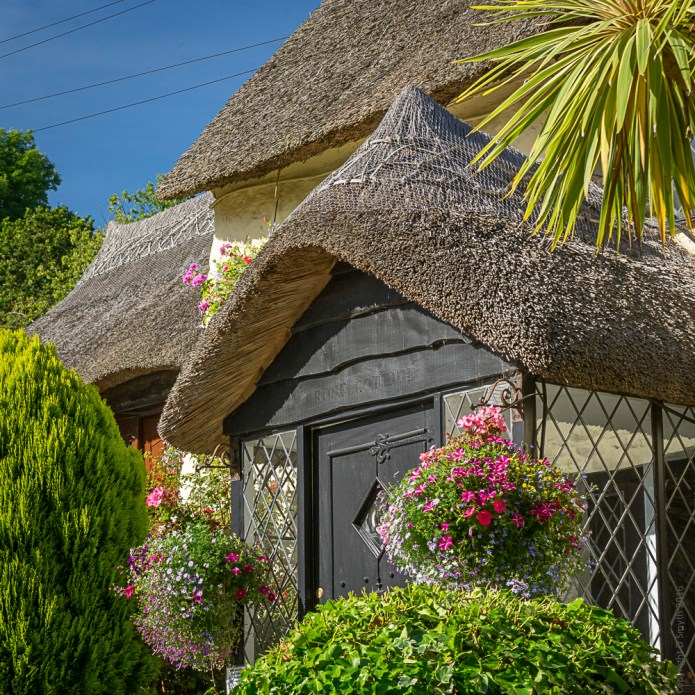 a1_20160731_Devon-2016073109113_6000 x 4000-2.jpg