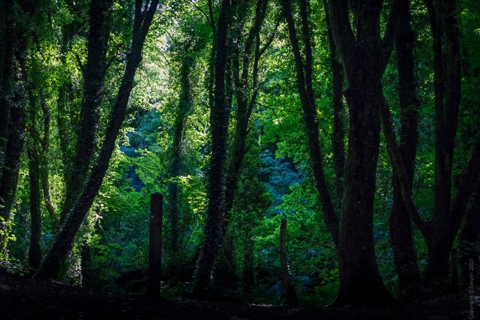 a1_20160731_Devon-2016073109117_6000 x 4000.jpg