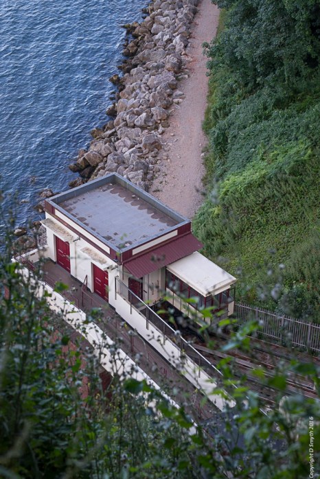 a1_20160731_Devon-2016073109135_4000 x 6000