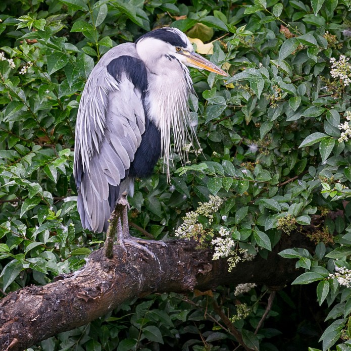 a1_20160805_Edinburgh-2016080509396_6000 x 4000-2