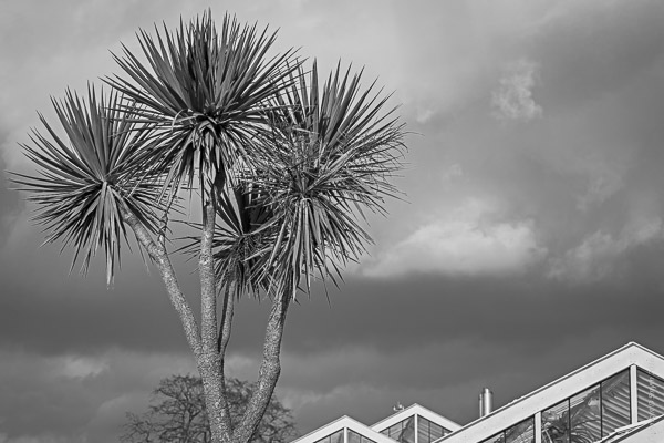 a1_20160226_20160226_kewgardens_03209551_6000-x-4000