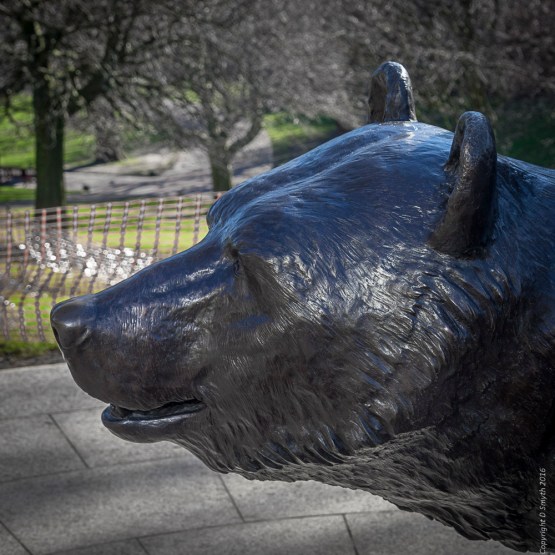 a1_20160307_20160307_edinburgh_01700658_6000-x-4000