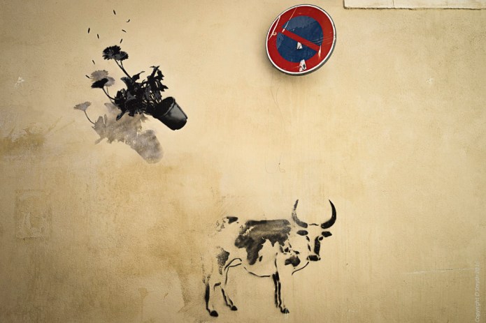 a1_20160825_Arles-2016082500541_6000 x 4000