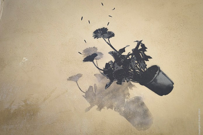 a1_20160825_Arles-2016082500542_6000 x 4000