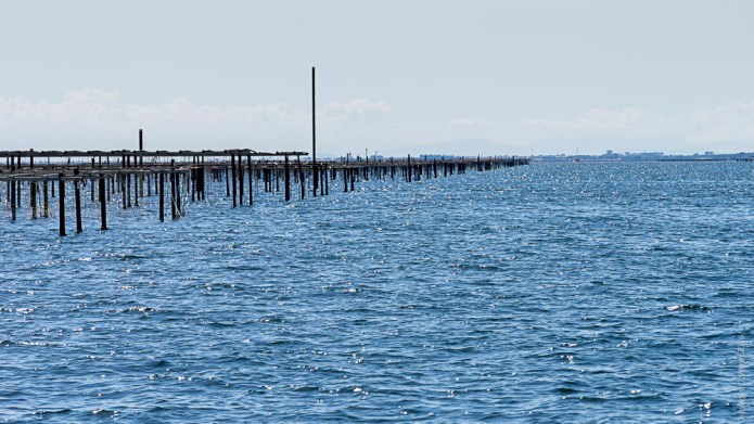 a1_20160830_Sete-2016083000953_6000 x 4000