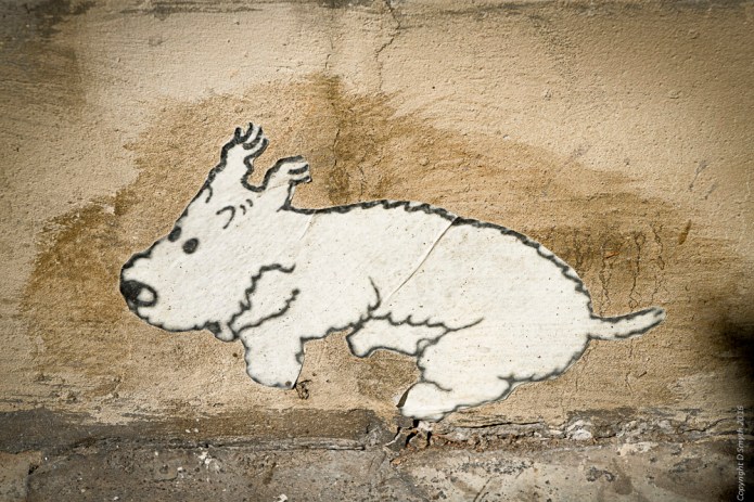 a1_20160831_arles-2016083100732_7952-x-5304