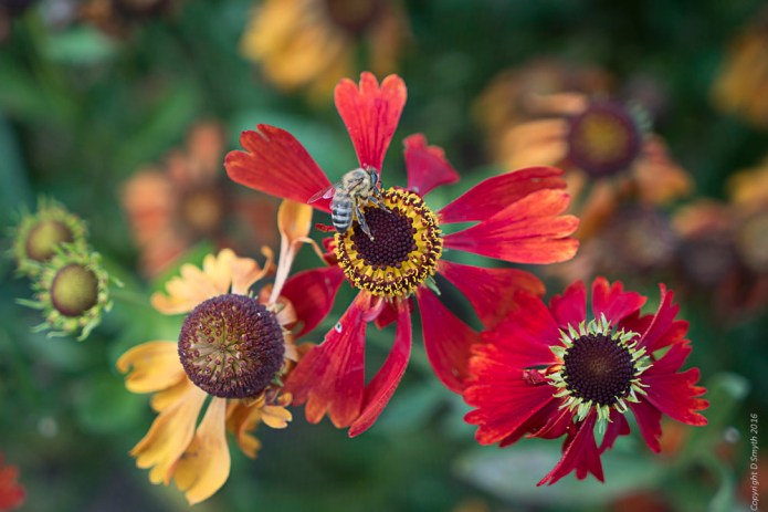 a1_20160924_london-2016092402124_7952-x-5304