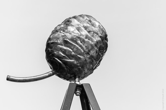 a1_20160924_oslo-2016092401971_6000-x-4000-3