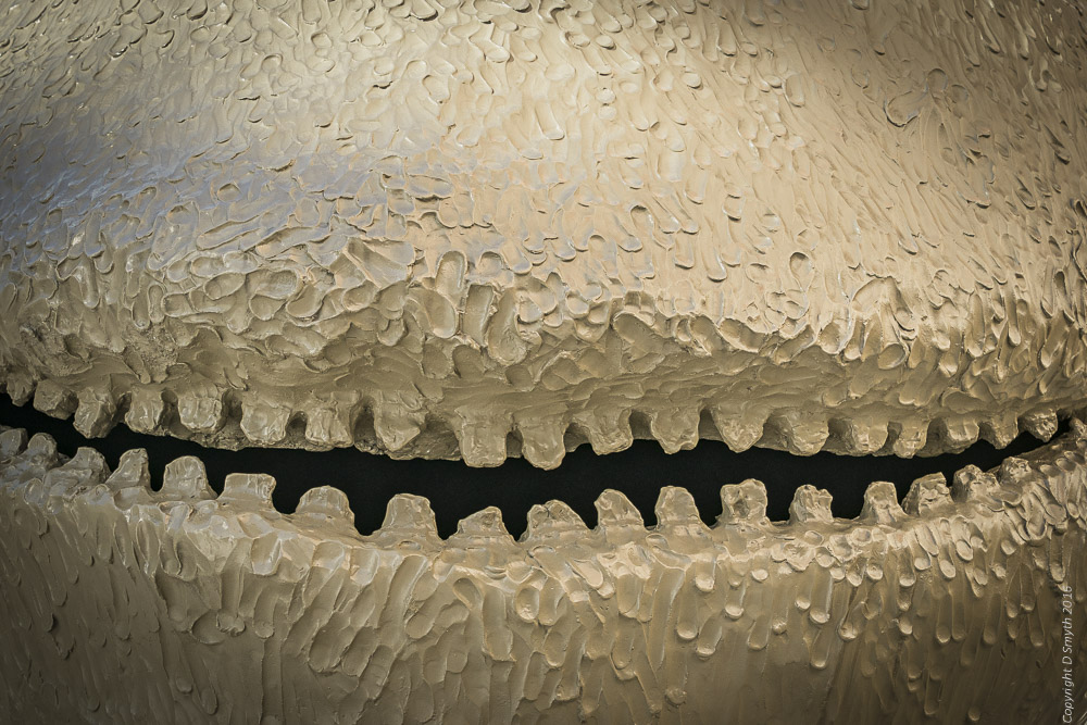 a1_20161001_oslo-2016100102473_5304-x-7952-4