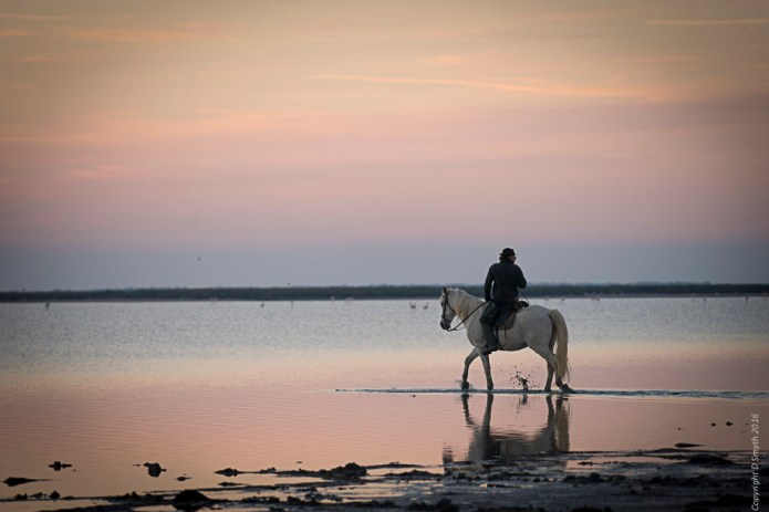 a1_20161008_Camargue-2016100802114_6000 x 4000.jpg
