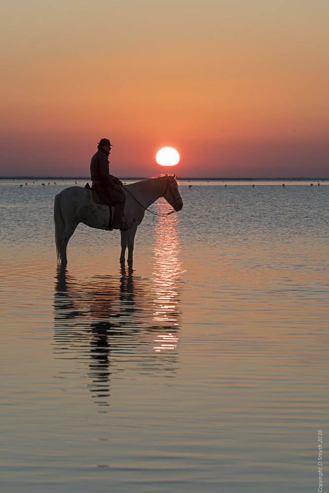 a1_20161008_camargue-2016100803401_5304-x-7952