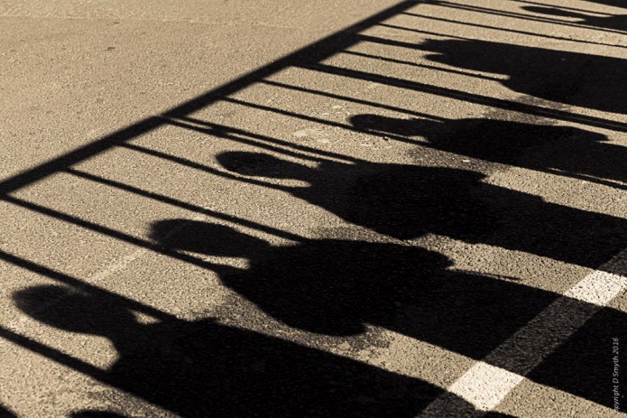 a1_20161008_camargue-2016100803555_7952-x-5304-3