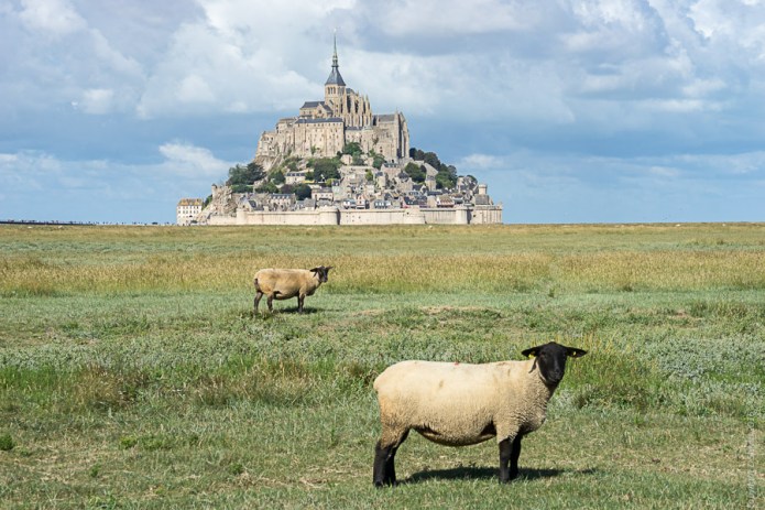 a1_brittany-2016091701543brittany-2016091701543001