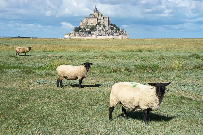 a1_brittany-2016091701544brittany-2016091701544001