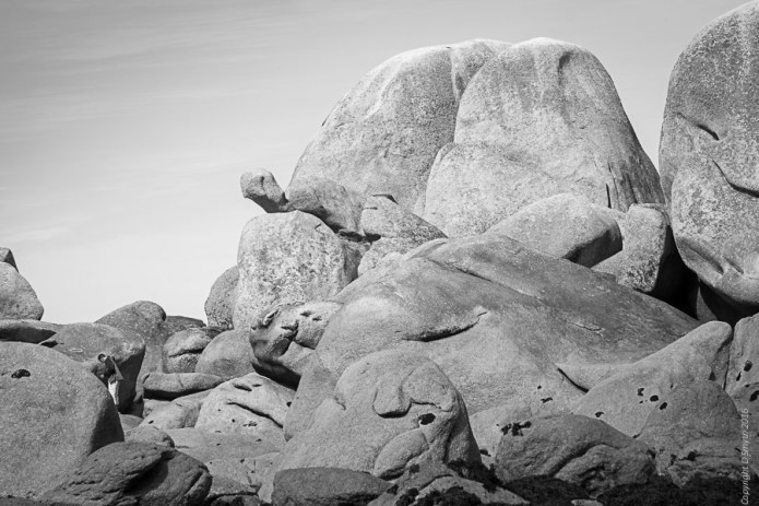 a1_brittany-2016092101923brittany-2016092101923001-2