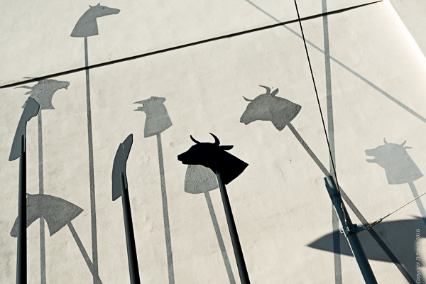 a1_montpellier-2016100502830montpellier-2016100502830001