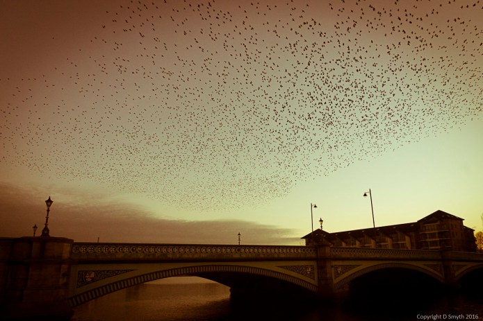 a1_20160316_20160316_belfast_04401110_6000-x-4000-3