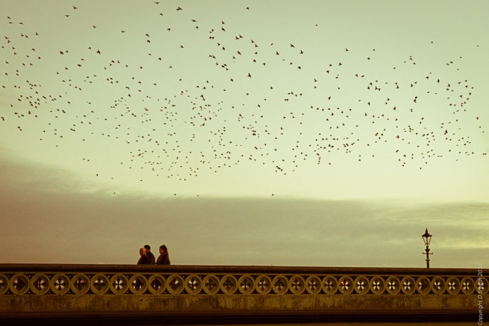 a1_20160316_belfast_0360110220160316_belfast_03601102001-3