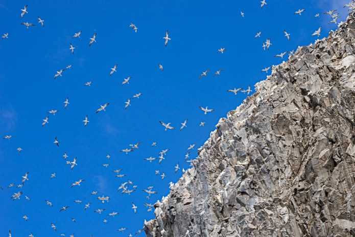 a1_northberwick-2016082200273northberwick-2016082200273001