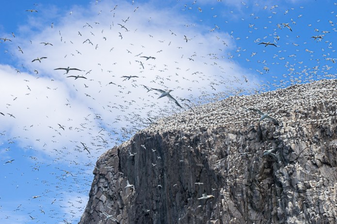 a1_northberwick-2016082200276northberwick-2016082200276001