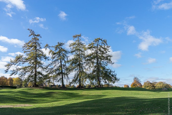 a1_stalbans-02954stalbans-02954001