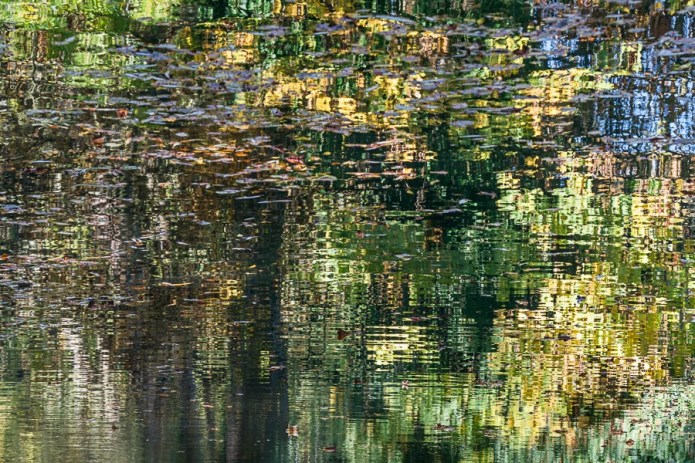 debbie-smyth-autumnal-impressions