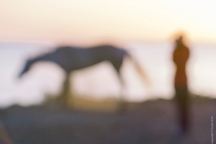 a1_20150525_20150525__dsc9551_6000-x-4000_fe-70-200mm-f4-g-oss-2