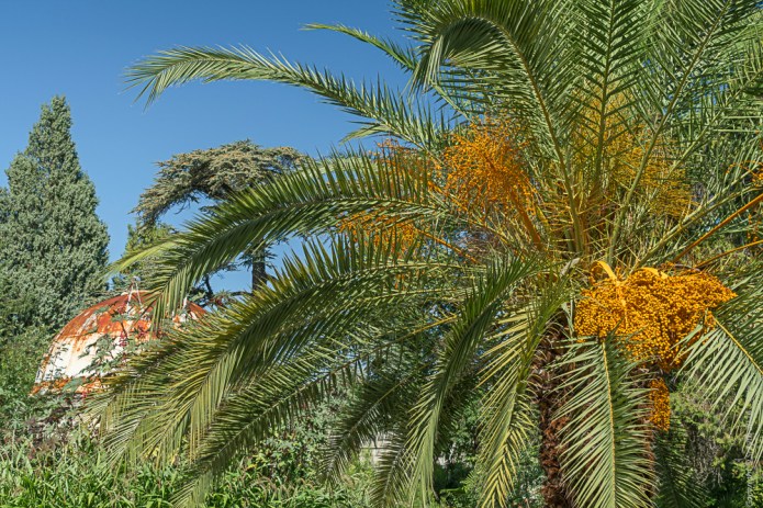 a1_20161007_Montpellier-2016100703195_7952 x 5304_FE 24-70mm F4 ZA OSS.jpg