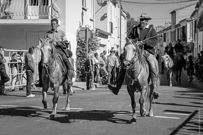 a1_20161008_Camargue-2016100803582_7952 x 5304_FE 70-300mm F4.5-5.6 G OSS.jpg