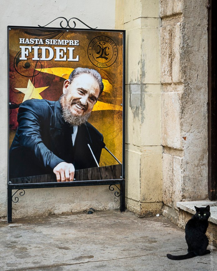 a1_20161209_cubadsc0744220161209_5304-x-7952_fe-24-70mm-f4-za-oss-2