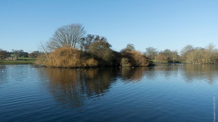 a1_20161222_untitleddsc0802320161222_7952-x-5304_fe-24-70mm-f4-za-oss