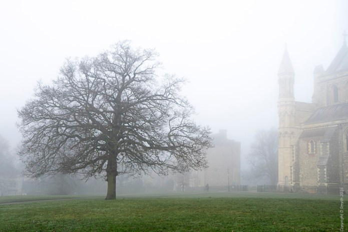 a1_20161230_untitleddsc0548920161230_6000-x-4000_fe-24-70mm-f4-za-oss-2